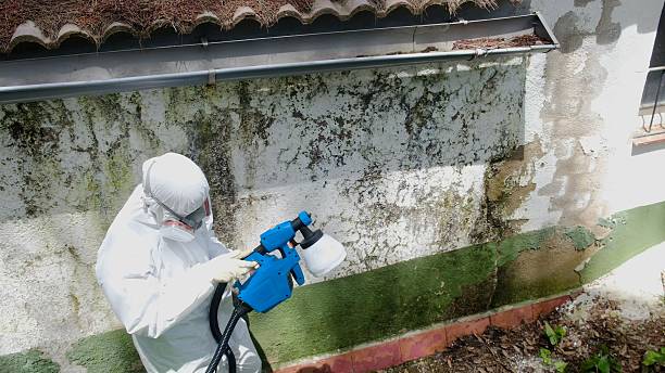 Trusted Bathroom Mold Removal service in Warren, NJ - Cheap Mold Removal